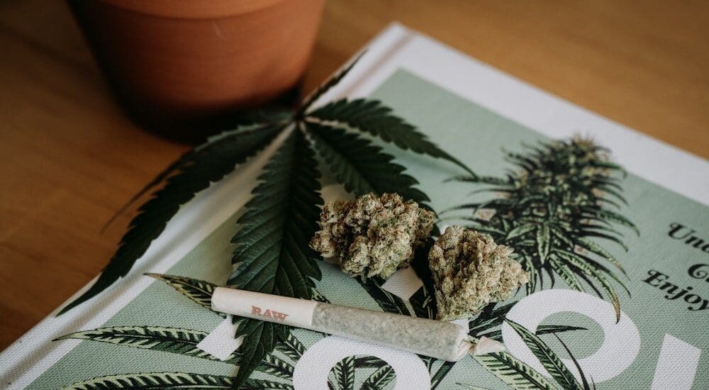 Health Canada cannabis regulation: what you need to know
