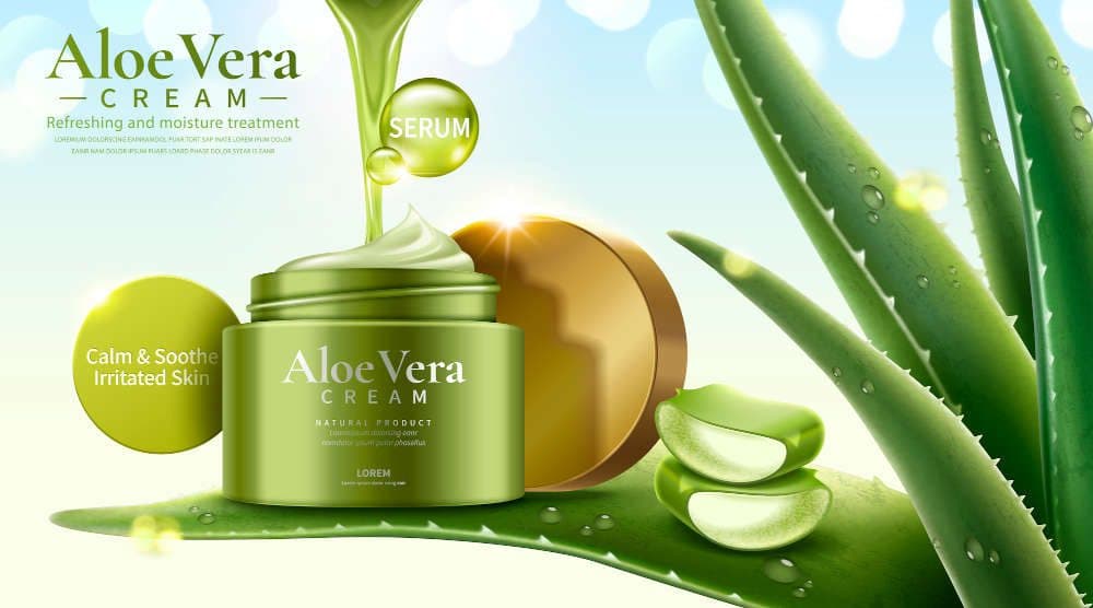 crema para escaras en ancianos a base de aloe vera