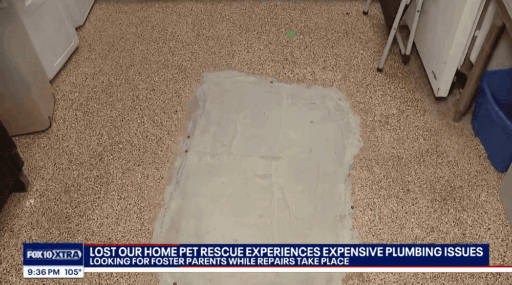 Profesional plumbing dig out