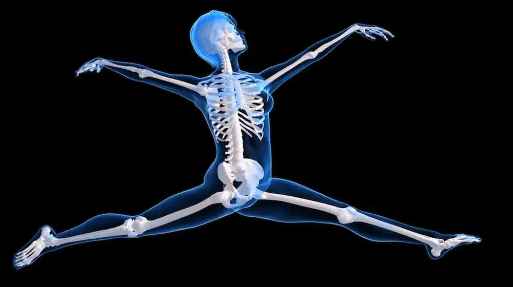 illustration of a skeleton leaping