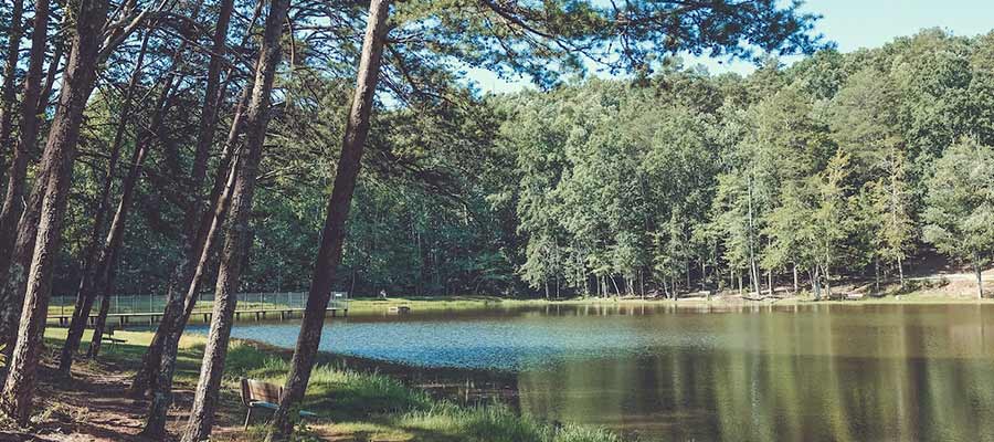 long distance moving to Greenville