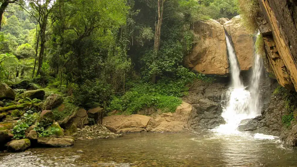 Law's Falls