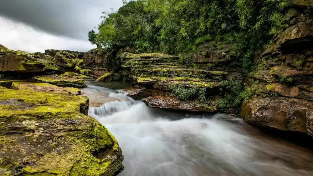 Nongkhyllem Wildlife Sanctuary