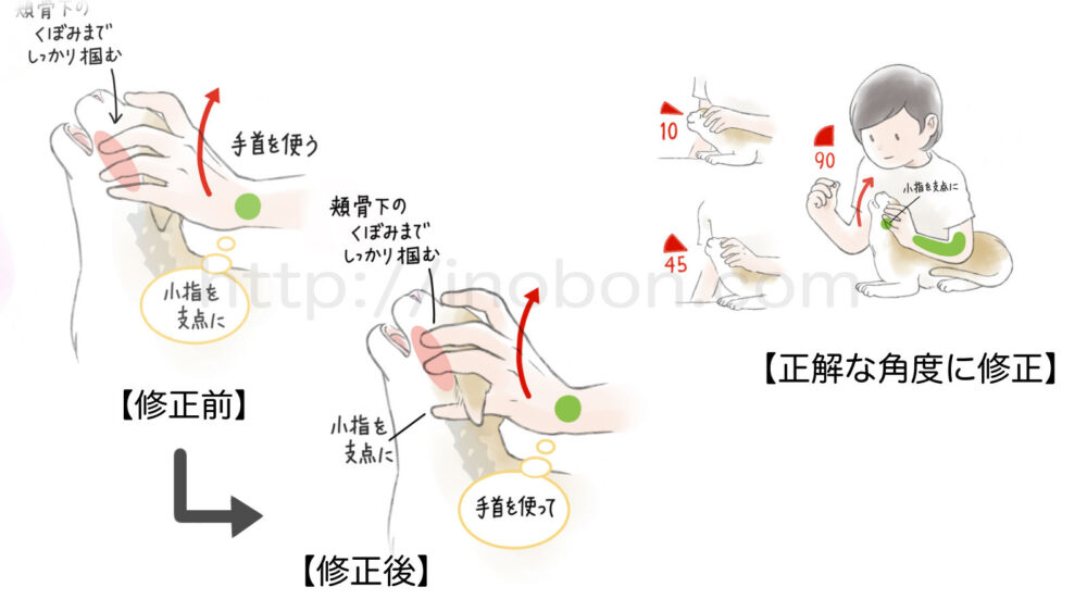 猫の保定方法、投薬時の顔の持ち方