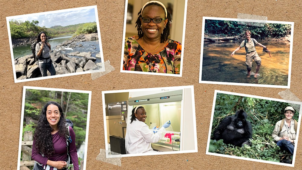 Photos of March 2022 Leakey Foundation live programming speakers Dr. Liran Samuni, Dr. Mercy Akinyi, and Dr. Kelly Stewart