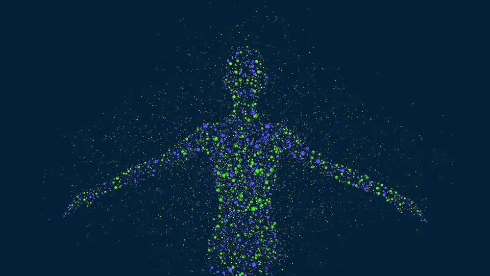 immune system