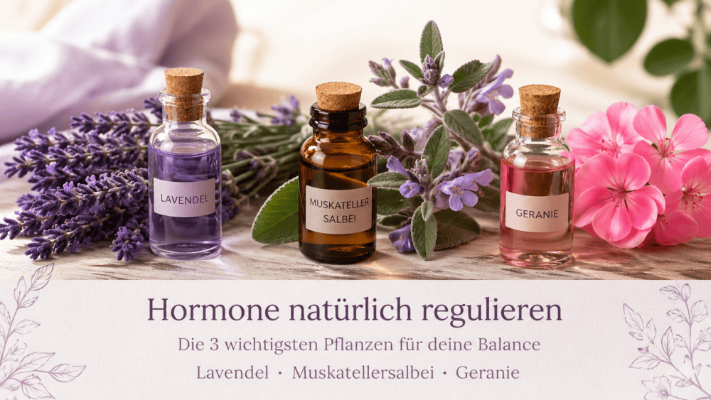 Hormone Wechseljahre natürlich regulieren