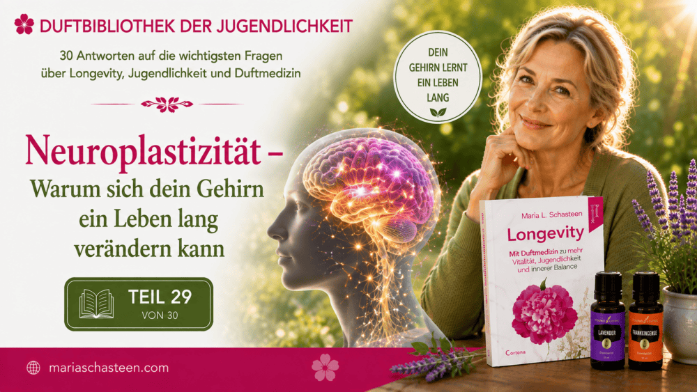 Neuroplastizität
