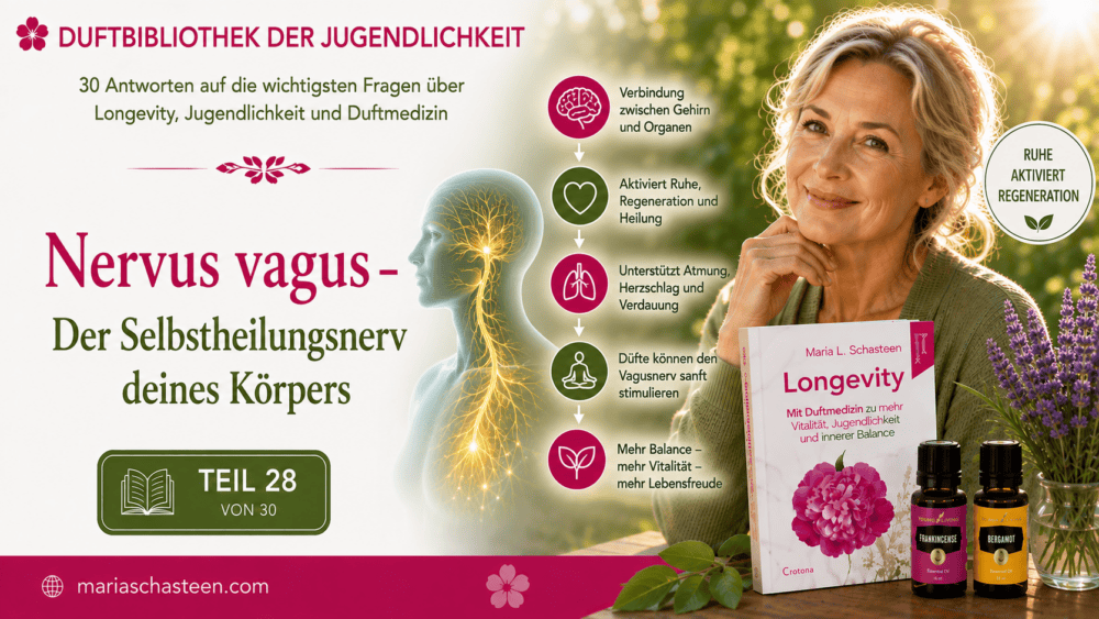 Nervus vagus