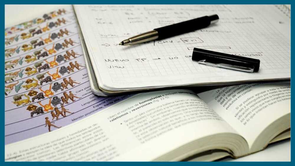 大学受験英語の基礎固めは何から始める？3ヶ月で固める勉強順を解説