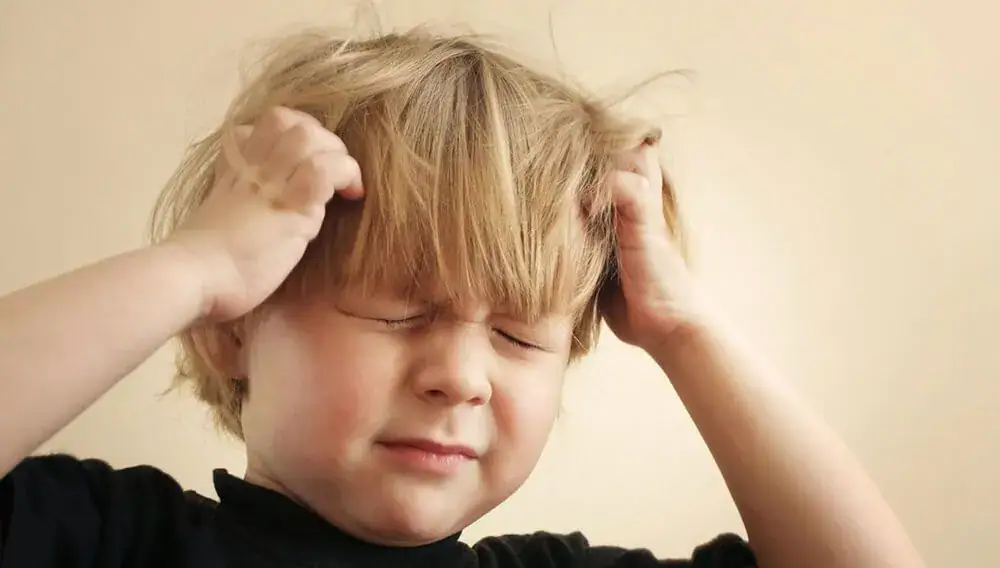 head lice