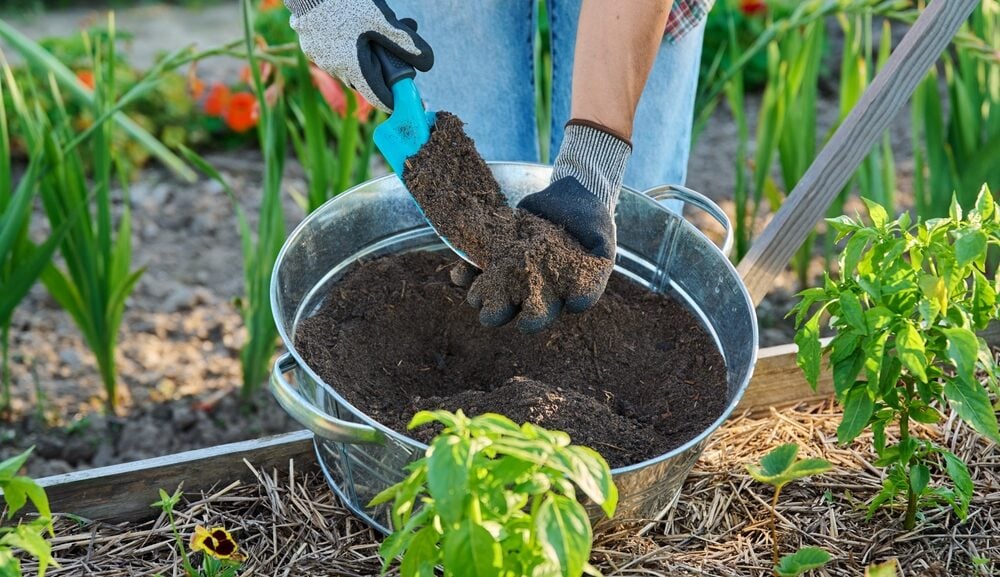 The Advantages of Mulching: From Soil Protection to Weed Control