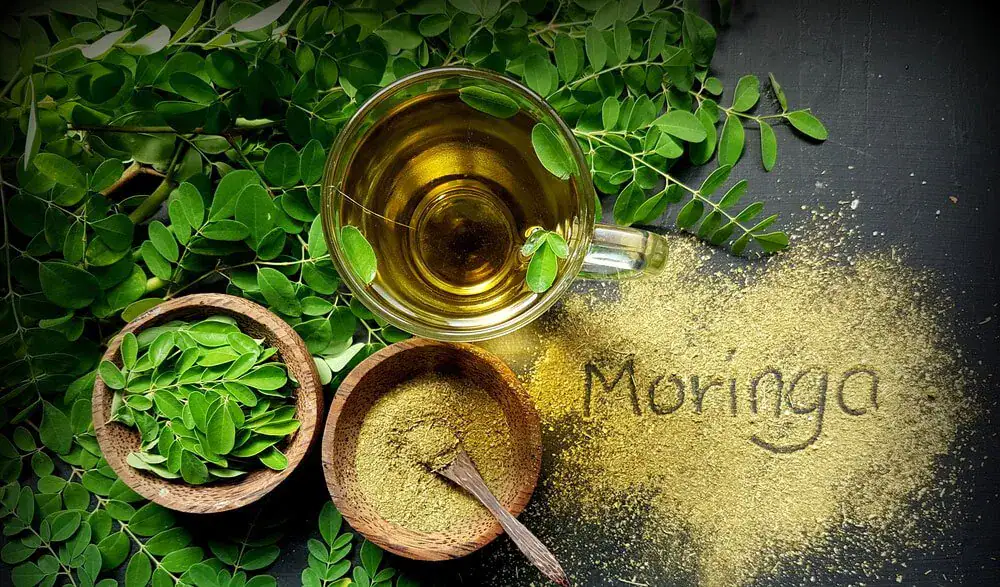 The top alternative healing trends in holistic health and wellness