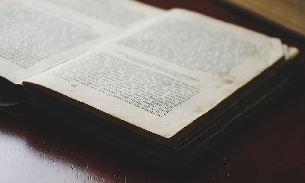 informe lectura