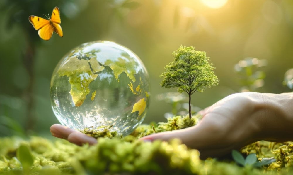 Umweltfreundliches Webdesign