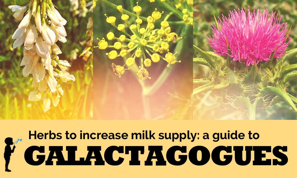 Naturopathic Pediatrics - Galactagogues to increase breast milk supply