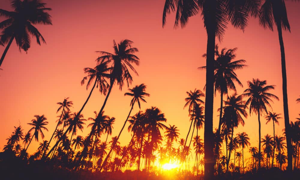 California's Highway to Summer: