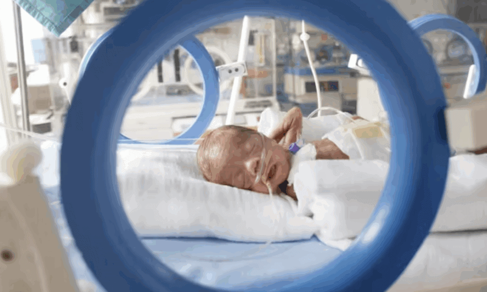 Screen Shot 2025 12 26 at 10.13.39 PM