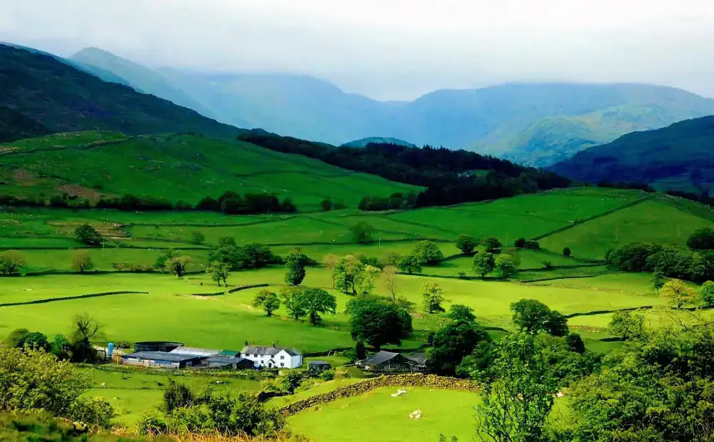 Ziro Valley
