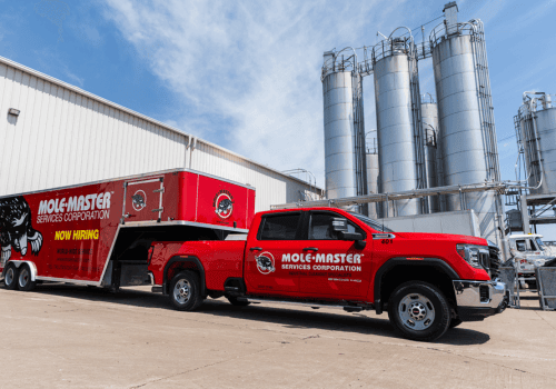 Silo & Bin Cleaning 2