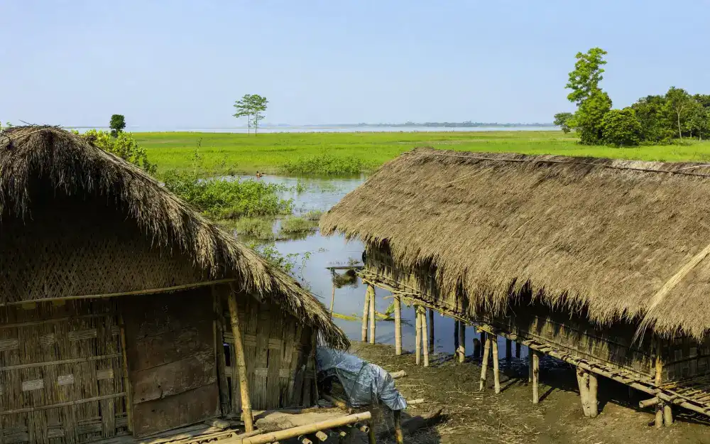 Majuli