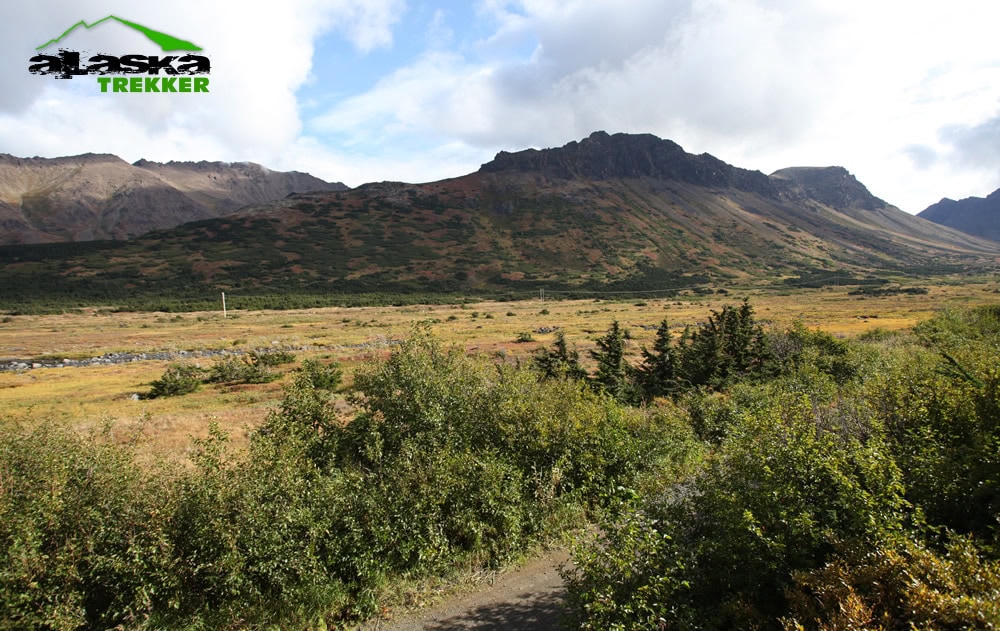 powerline_pass_anchorage