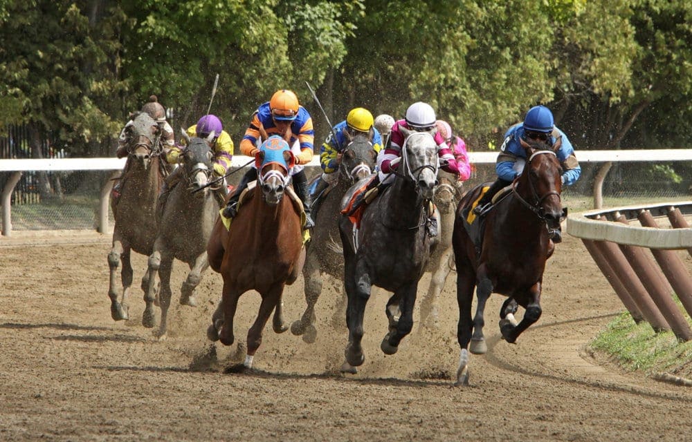 Kentucky Derby 2018 point standings