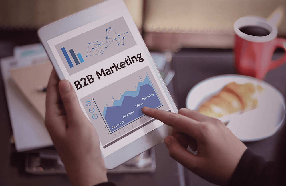 estratégias b2b
