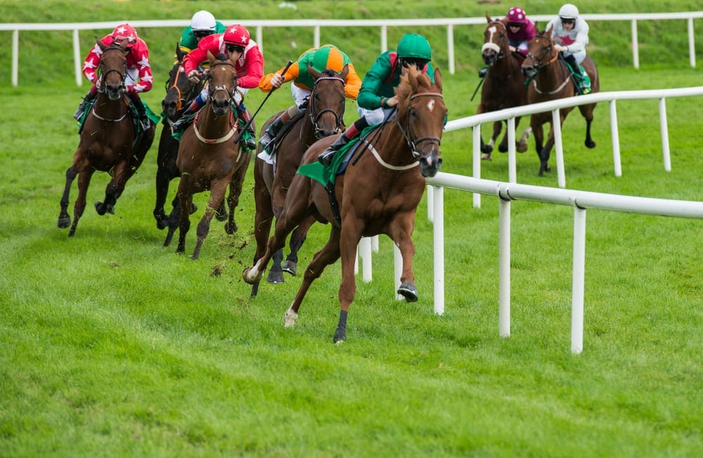 Bookie 2nd Place Refund Offers