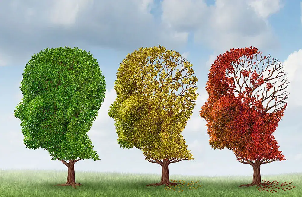 Implement these 7 habits to help prevent dementia
