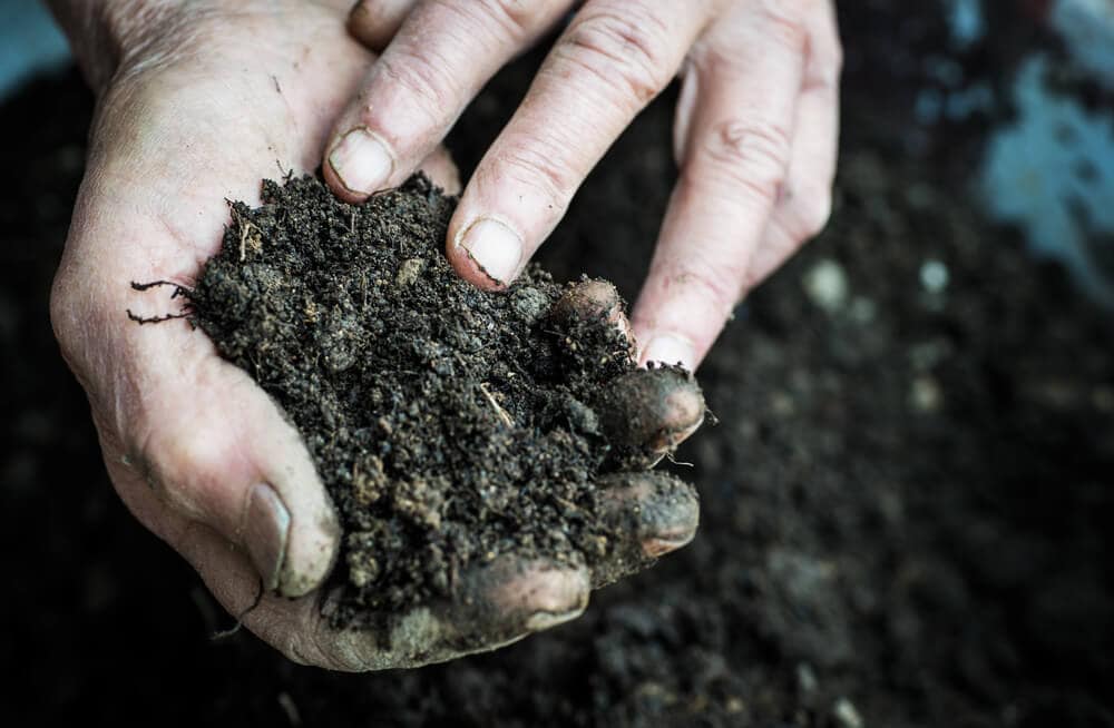 Common Garden Maintenance Mistakes and How to Avoid Them