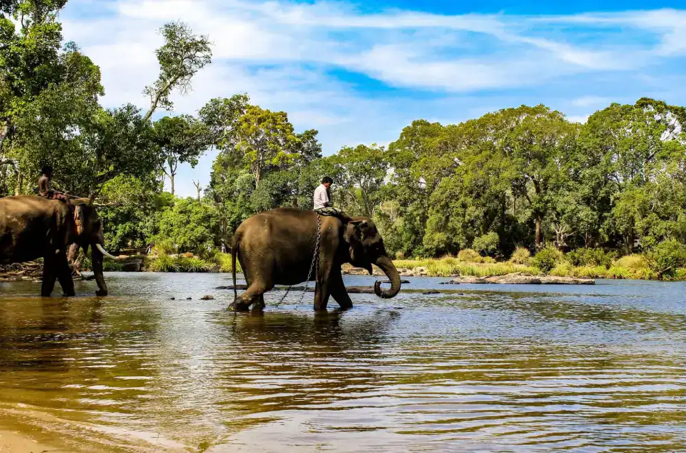 Coorg Trip from Bangalore