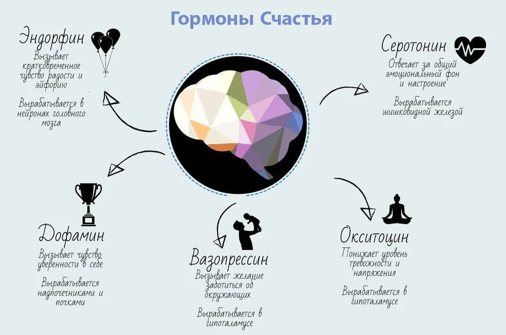 Какие химические вещества мозга, повышают счастье? 1 Гормоны счастья