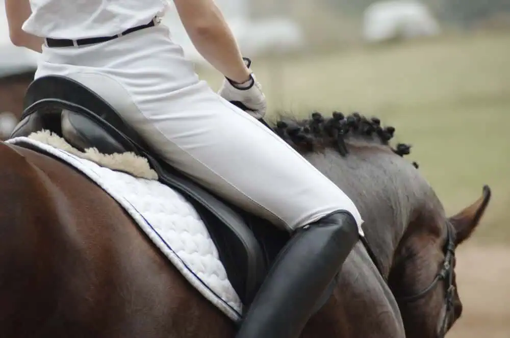 Horse Riding trousers for women