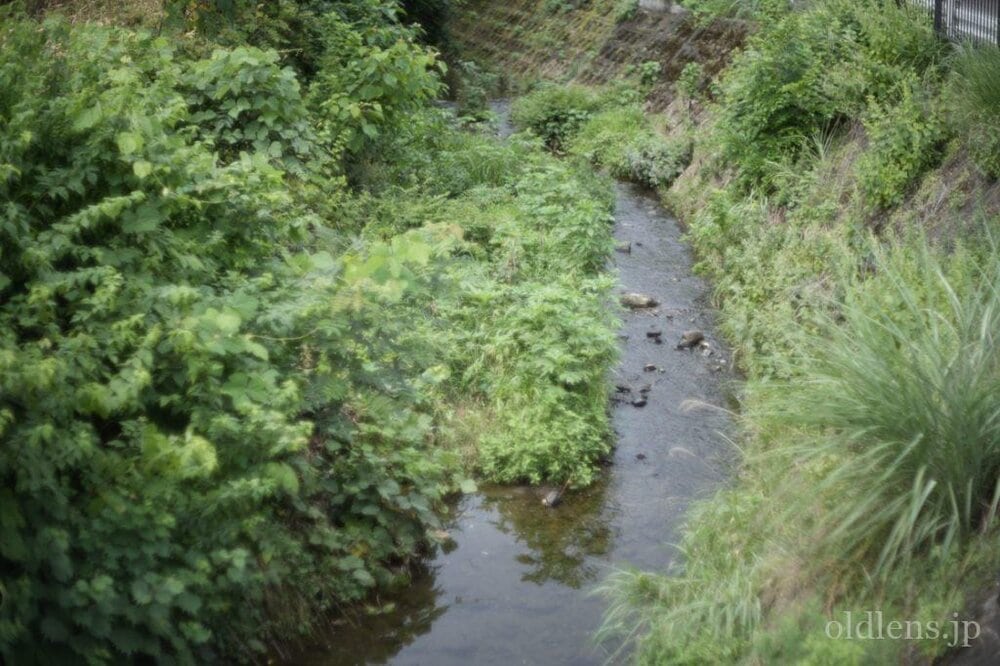 konica hexanon ar 57mm f1.2 revew 作例 小川 自然 のどかな風景 エモい写真画像 レトロ おすすめオールドレンズ 滲み
