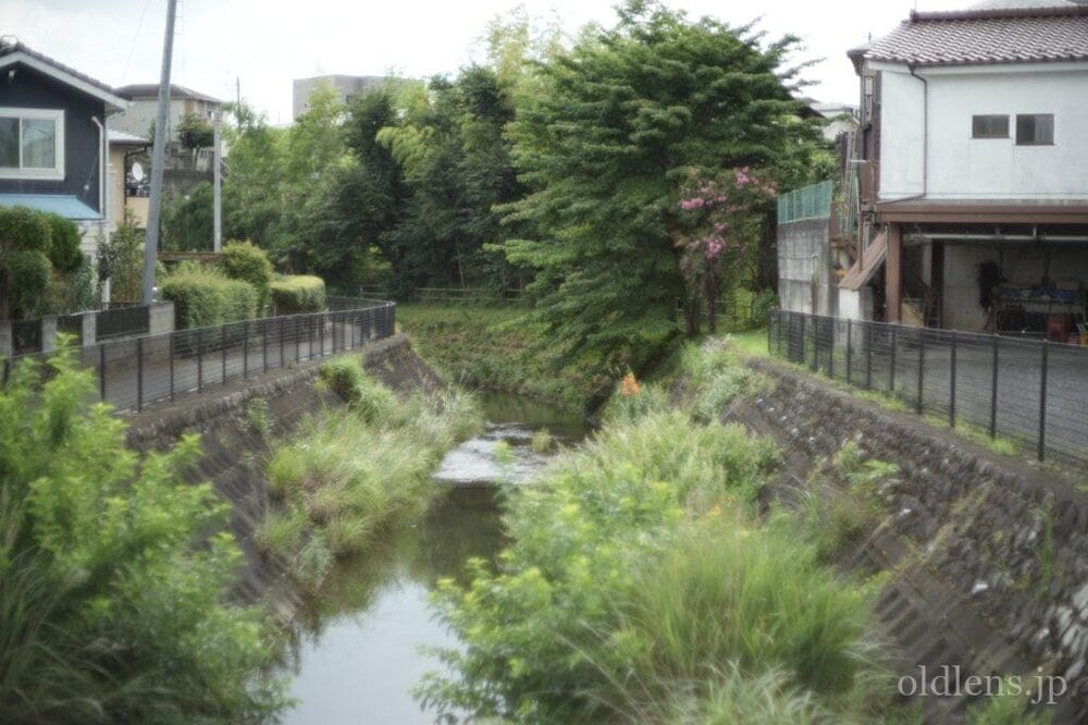 konica hexanon ar 57mm f1.2 revew 作例 小川 自然 エモい写真画像 レトロ おすすめオールドレンズ 滲み