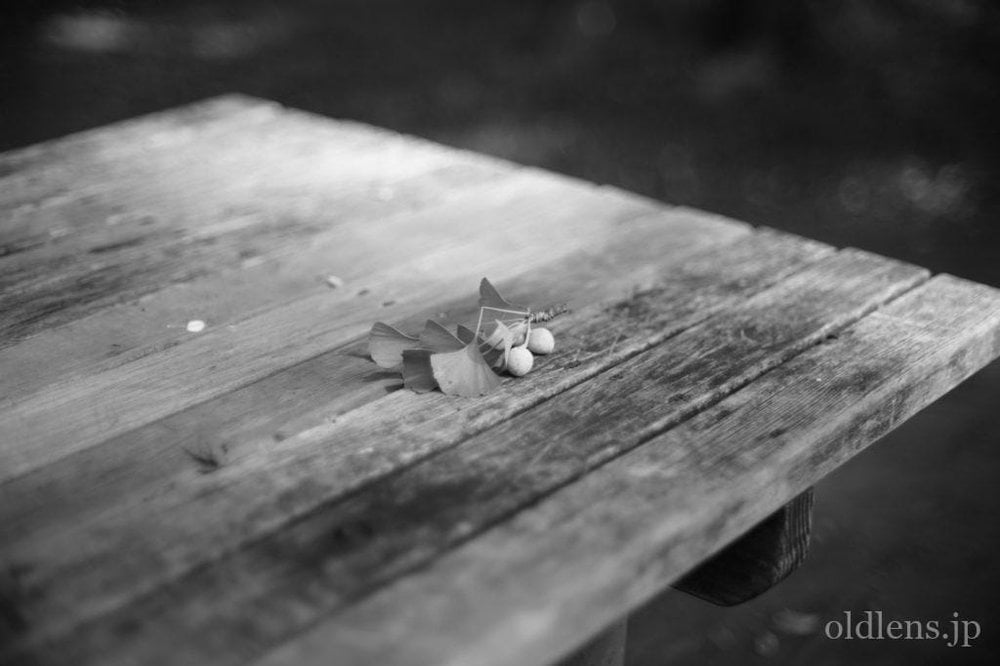 konica hexanon ar 57mm f1.2 revew 作例 どんぐり 草花 自然 エモい写真画像 レトロ おすすめオールドレンズ 滲み