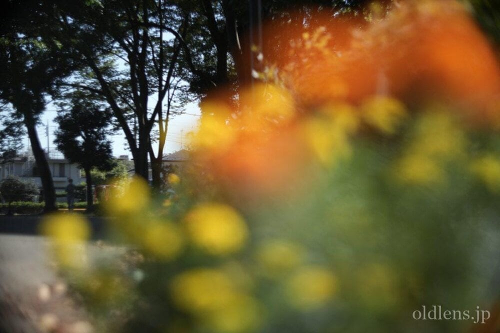 PO2-2M 75mm f2 Revew 作例 flowor 花 エモい画像写真展 