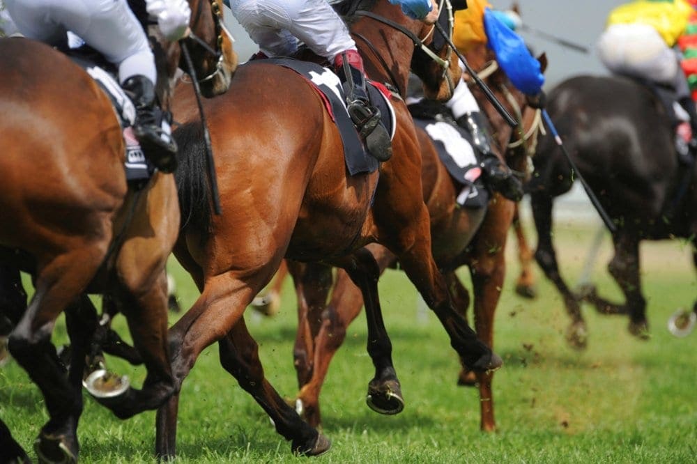 Fun88 Best Odds Guaranteed
