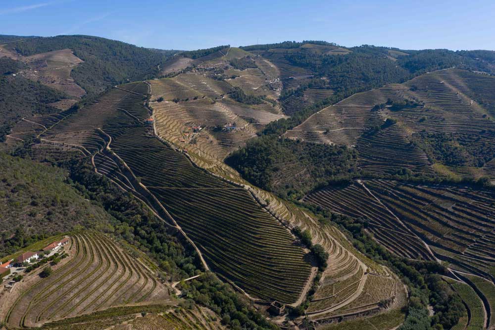 Quinta Manoella