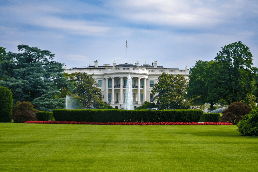 Towards an international agency for Artificial Intelligence (AI) governance