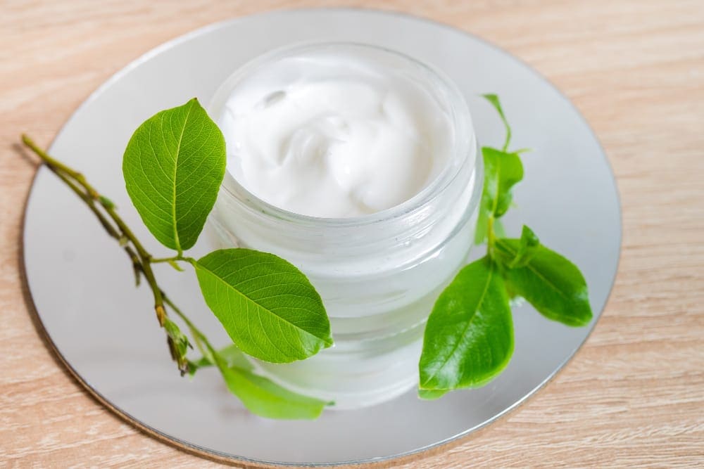 Kết hợp lá tía tô với sữa chua không đường.
