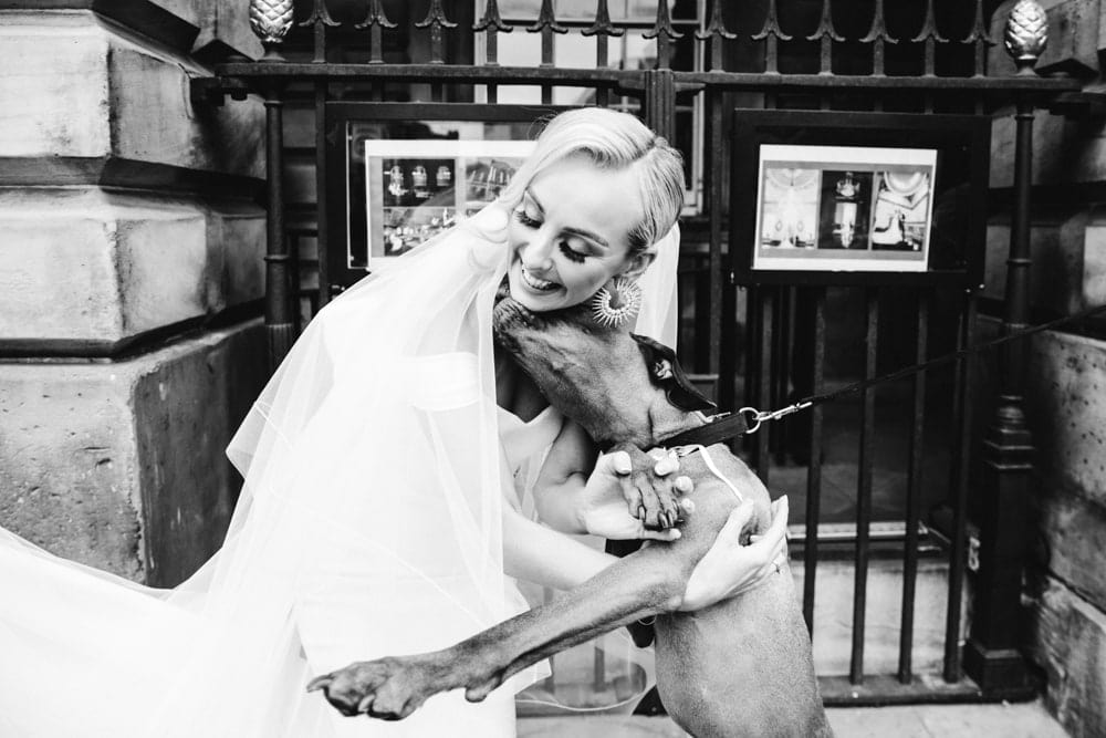 Liverpool town hall wedding photography teri and mat's big day at liverpool town hall
