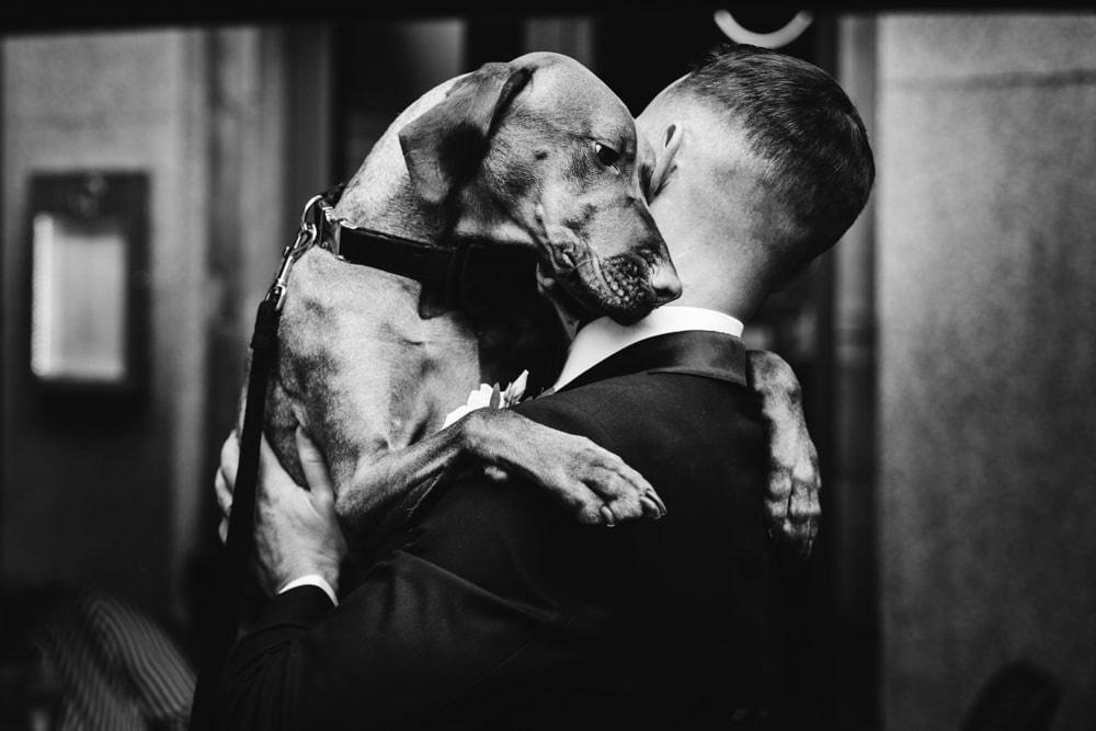 Liverpool town hall wedding photography teri and mat's big day at liverpool town hall
