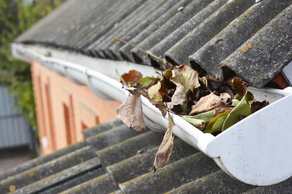 Clean Out Your Downspouts And Gutters