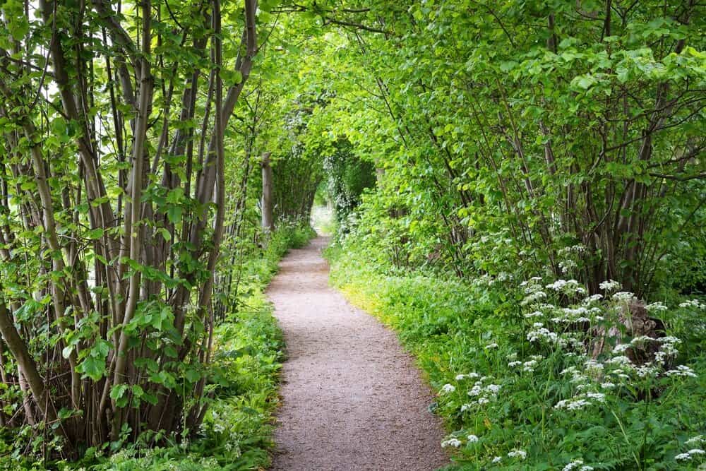 5 Reasons to Spend More Time Outdoors