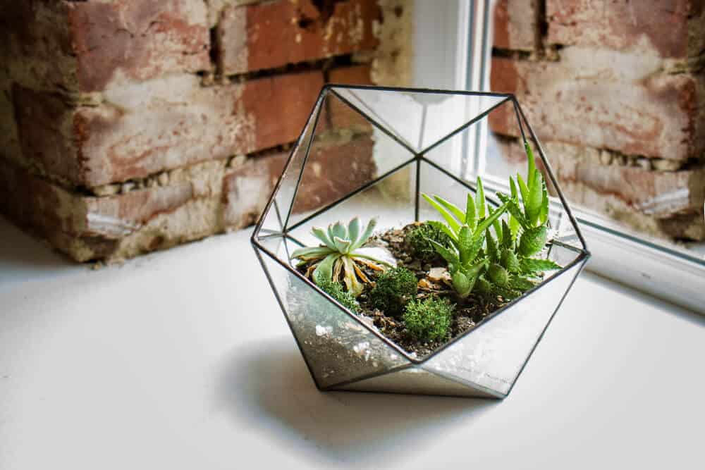 Original Ways to Bring the Outside in This Spring
