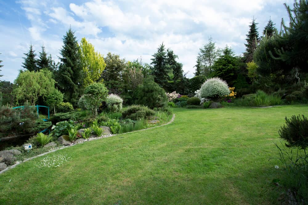 Tips To Keep Up Appearances In Your Garden