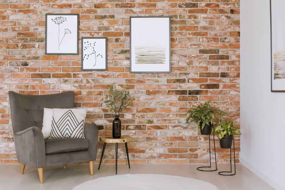 plants-in-the-living-room