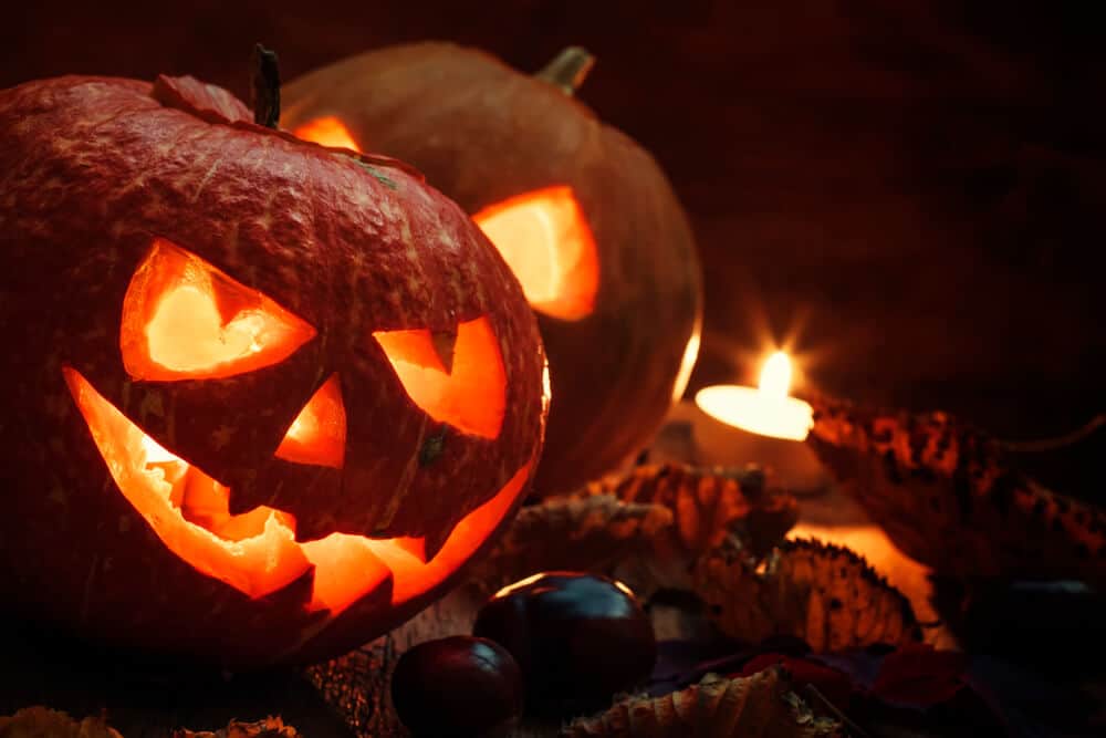 How To Keep Your Pumpkins from Rotting this Halloween